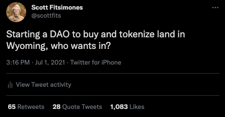 The single tweet that revolutionised real estate, 1000 parcels at a time. Credit: CityDAO